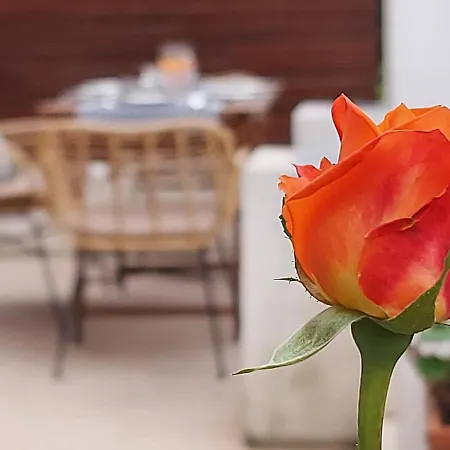 Casa Al Giardino, In Campagna Nel Cuore Di Apartment